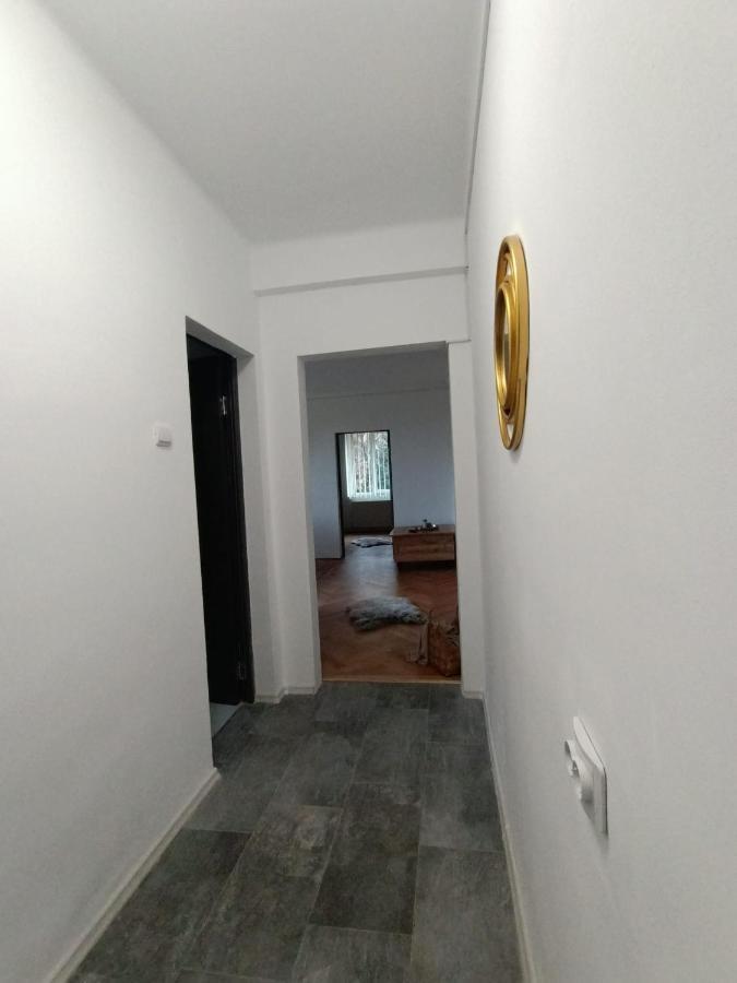 בראשוב Vintage Gray Apartament מראה חיצוני תמונה