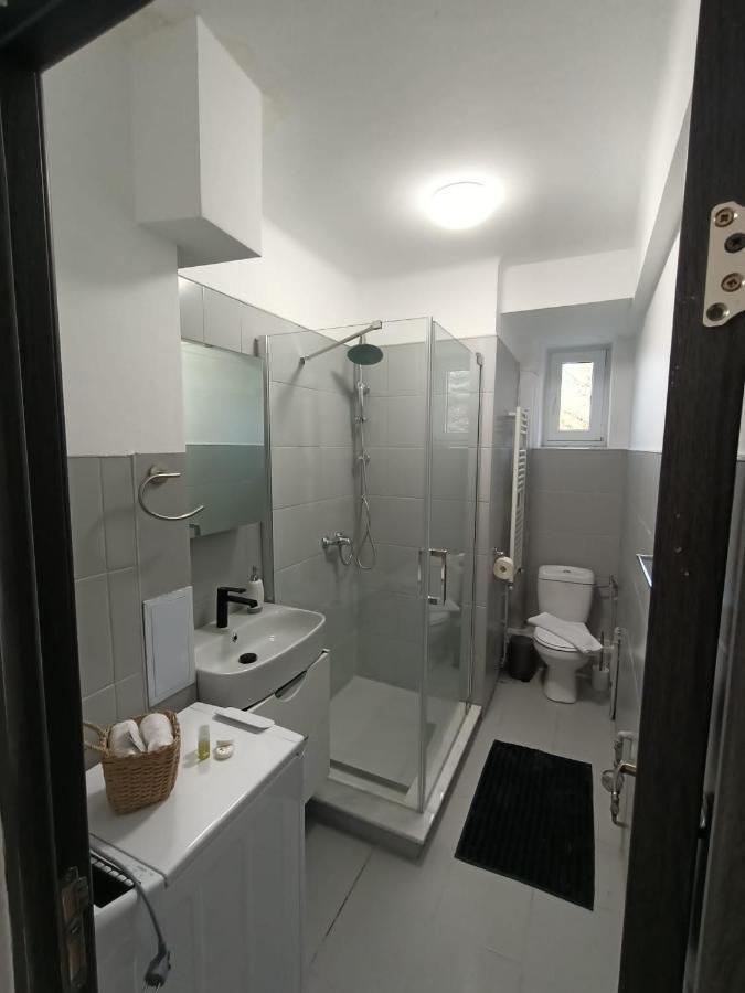 בראשוב Vintage Gray Apartament מראה חיצוני תמונה